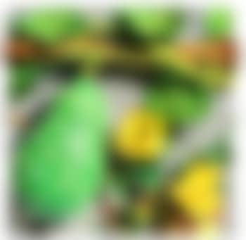 Zucca e rose (preview)