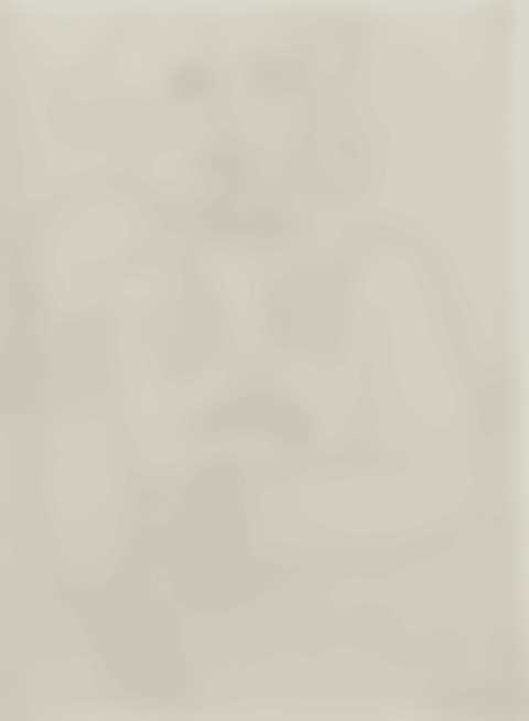 Figure Au Col Et Manchettes De Dentelle (preview)