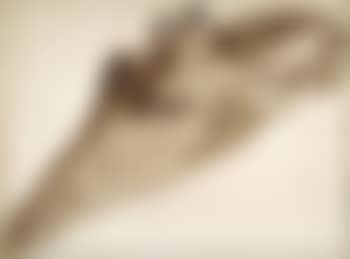 Giraffe (preview)