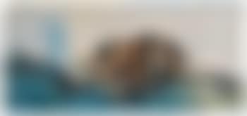 Umgestürztes Boot in der Brandung (preview)