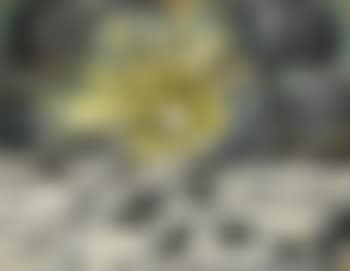 Sonnenaufgang (preview)