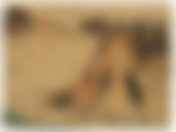 Hockenfeld (preview)
