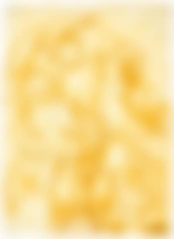 Hängende Sonnenblumen (preview)