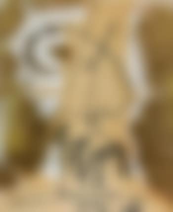 Matador and the bull (preview)