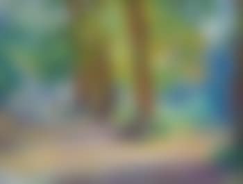 Promenade through the gardens (preview)