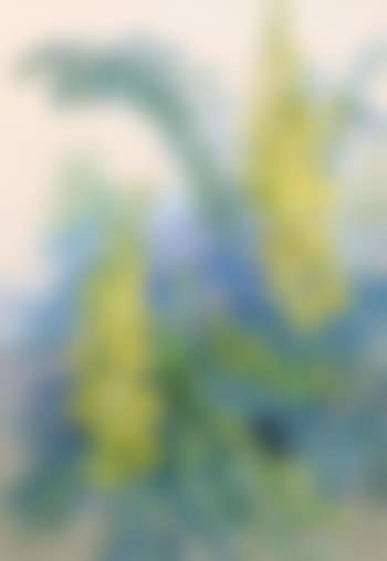 Bloom and beetle (preview)
