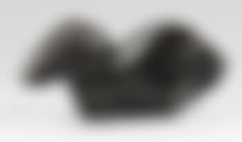 Dog (Dachshund) (preview)