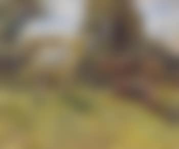 Shrimp and the old grey mare on the Ringland Hills (preview)