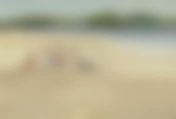 On Forbidden Ground (preview)
