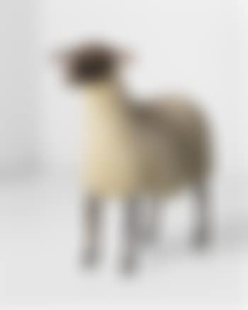 Brebis (preview)