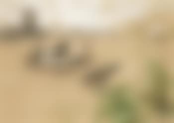 La promenade en barque (preview)