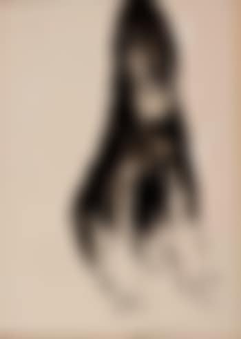 Mercy Hunter's Afghan hound (preview)
