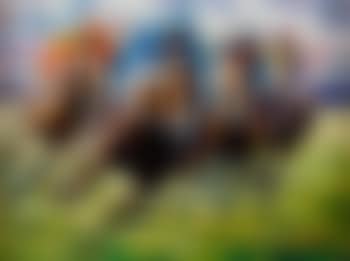 The final furlong (preview)