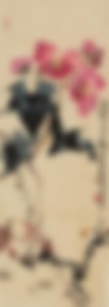Hibiscus (preview)