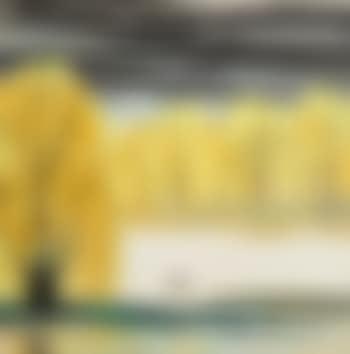 Yellow Trees Beside The River (preview)