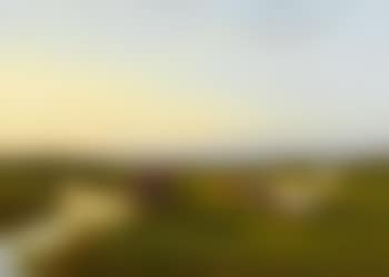 Cattle in a meadow at sunset (preview)