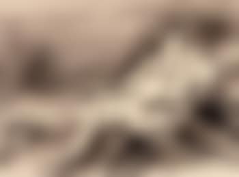 Frau im Liegestuhl (preview)