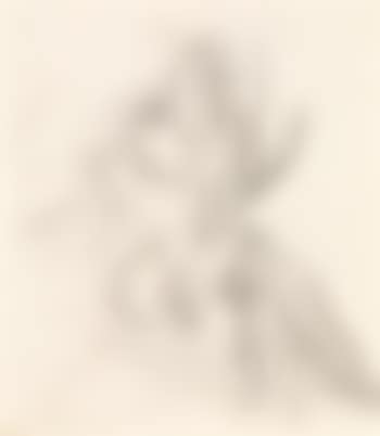 Élégante assise (preview)