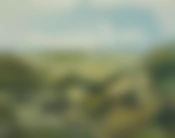 The Cambridge Valley (preview)
