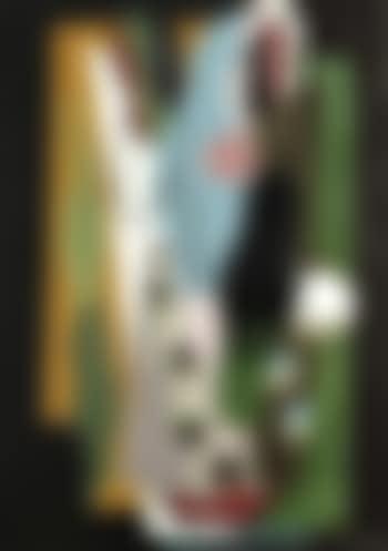 Les tulipes (preview)