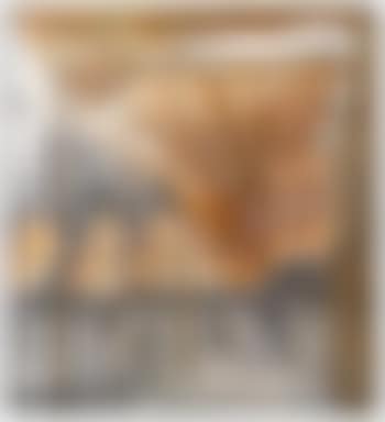 The Gates Project for Central Park New York City (preview)