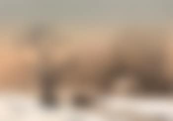 Winter landscape (preview)
