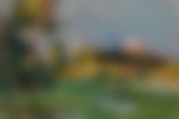 Summer landscape (preview)