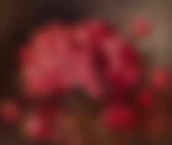 Still life with roses (preview)