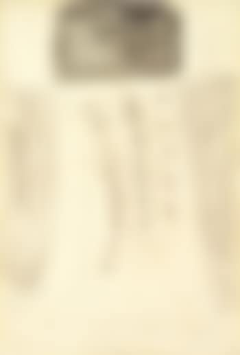 Composizione (preview)