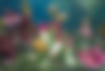 Italian landscape (8) (preview)