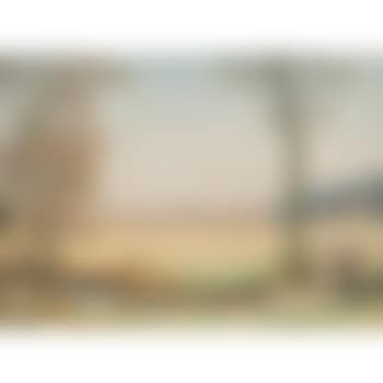 Blick auf Freiburg (preview)