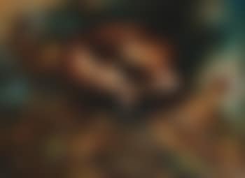 Does (preview)