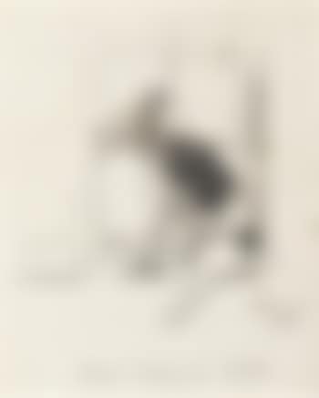 Punch looking for master (preview)