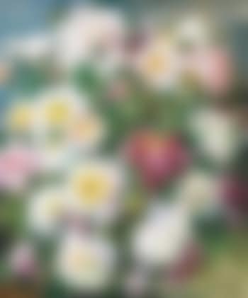Peonies (preview)