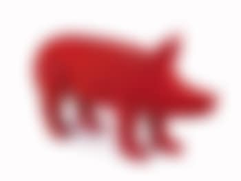 Cloned pig (preview)