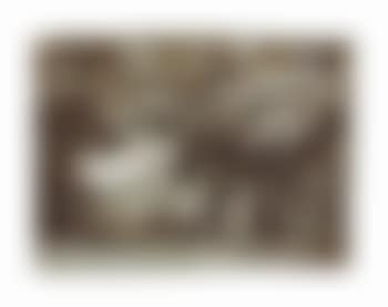 A wooded landscape (preview)