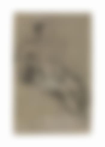 A seated female nude (preview)