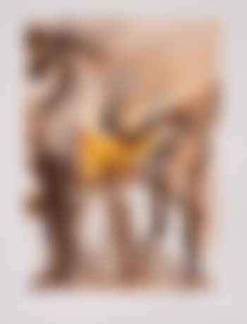 Les chevaux daliniens (preview)