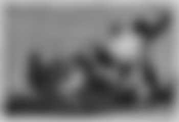Disparate Conocido (preview)