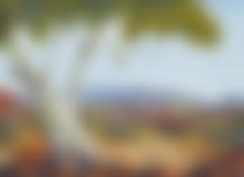 Central Australian Landscape (preview)