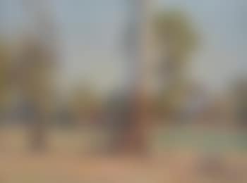 The Oldest Inhabitant (preview)
