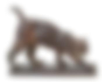 Lynx (preview)