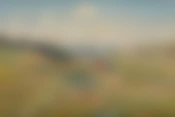 Paysage (preview)
