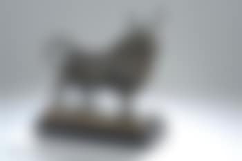 Taureau vainqueur (preview)