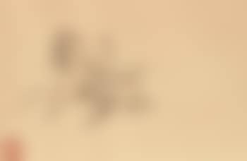 Untitled (a horse and rider) (preview)