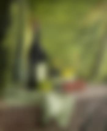Still life on a checked tablecloth (preview)