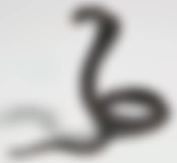Serpent (preview)
