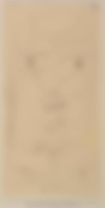 Physiognomisch nach MB (Physiognomic after MB) (preview)