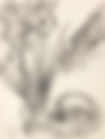 Vase de fleurs et panier de fruits (preview)