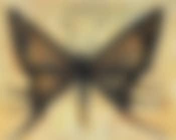 Papillon (preview)